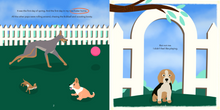 Load image into Gallery viewer, Arlo, Sage and Pip play while Hero looks on.